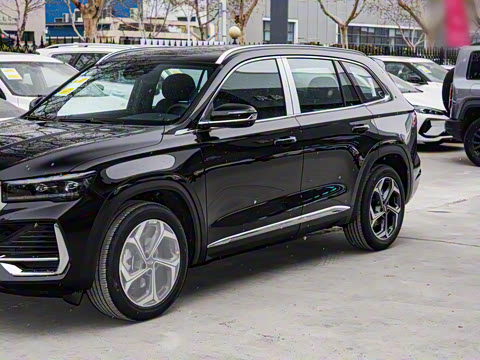 2025�� 2.0TD �Զ����ư�