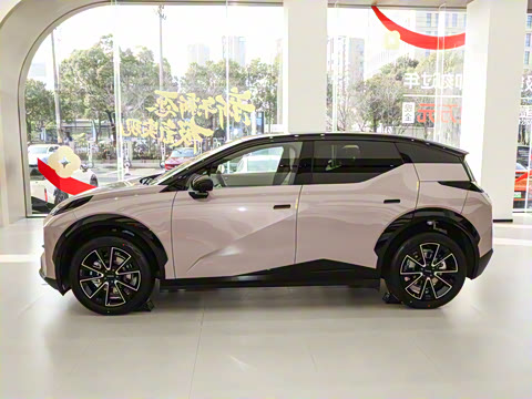 2025�� ������������