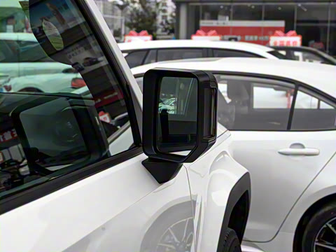 2025�� 2.4T ��ԽBX�� 5��