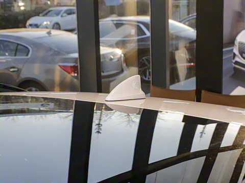 2024�� ���������������