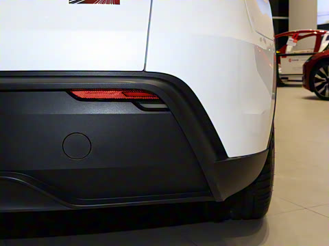 2025�� �������� �׷���