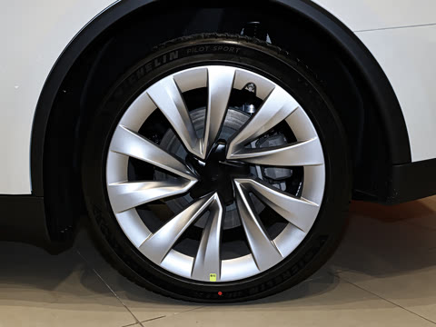 2025�� �������� �׷���