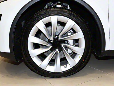 2025�� �������� �׷���