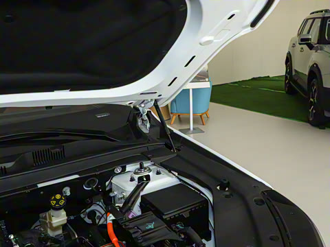 2024�� 1.5T 120km PRO 5��