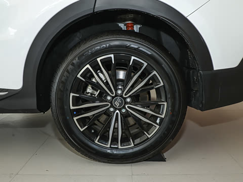 2024�� 1.5T 120km PRO 5��