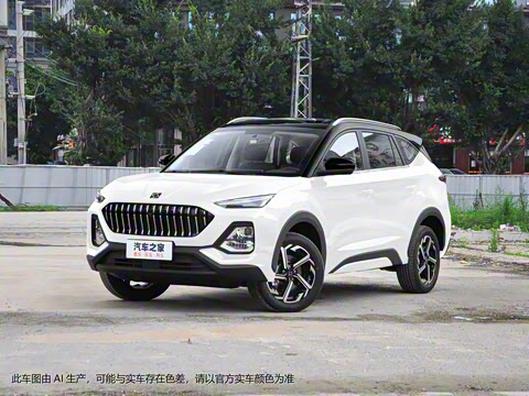 2021�� 300T �ֶ�ȫ�������� 7��