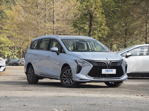 2025�� PHEV ������ 7��