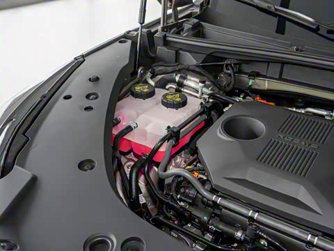 2024�� 135�콢��