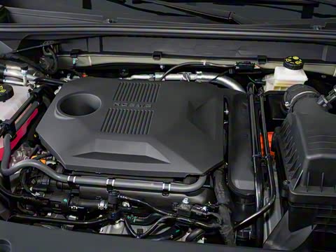 2024�� 135�콢��