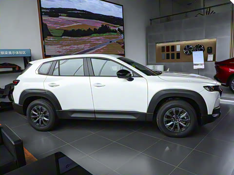 2023�� 2.5L ���а�