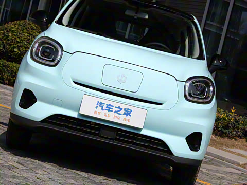 2025�� 310������