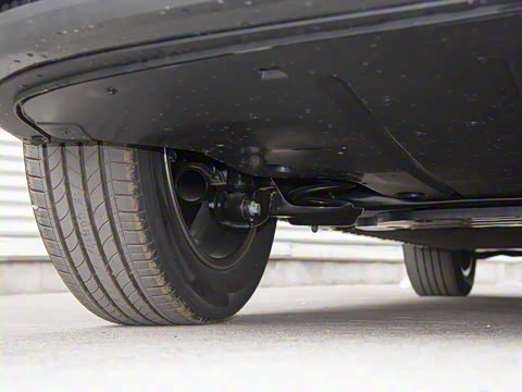 2025�� 445km ��ѡ��