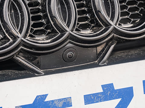 2025�� 200���������� 45 TFSI quattro ��ѡ������