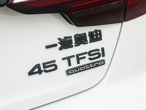 2025�� 200���������� 45 TFSI quattro ��ѡ������