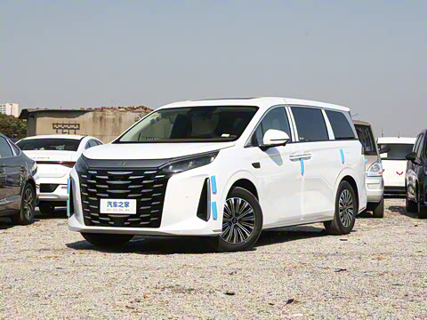 2025 DM-i 1.5T 100km 