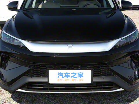 2025�� �ڶ��� DM-i 115KM��Խ��