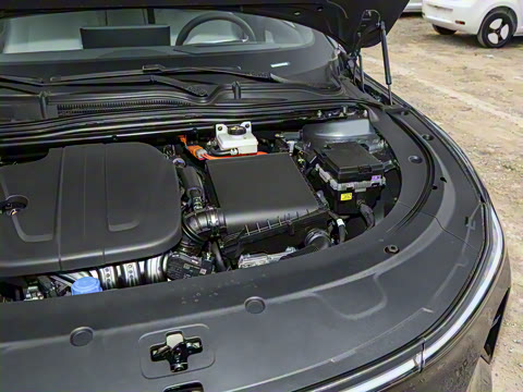 2025�� �������̰� 230�콢��