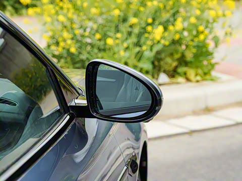 2025�� �Ǽݰ� DM-i 1.5T 125km �콢��