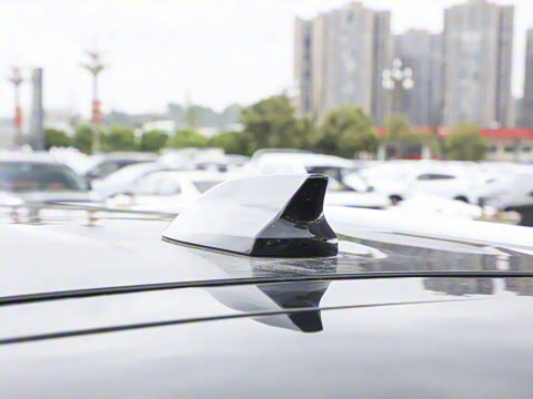 2025�� 1.6TD DCT��Ӣ�� 7��