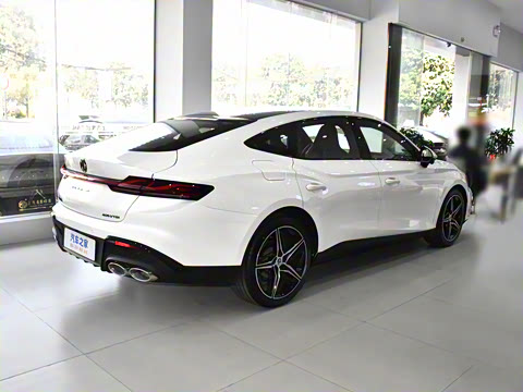 2025�� 2.0T Trophy+ �����˶���