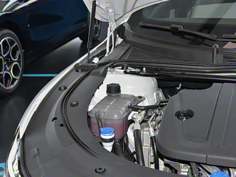 2025�� �������̰� 230�����