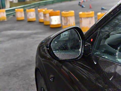 2024�� Max���������