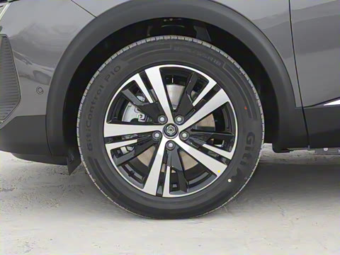 2025�� ������