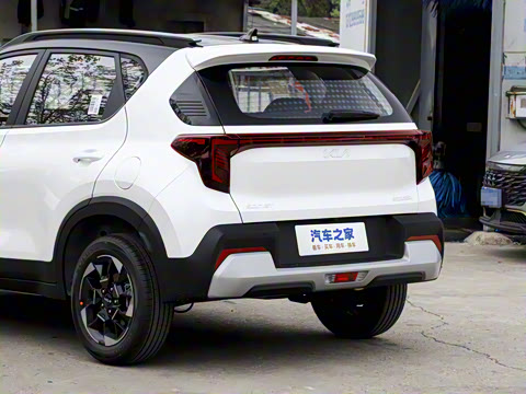 2024�� 1.5L ����������