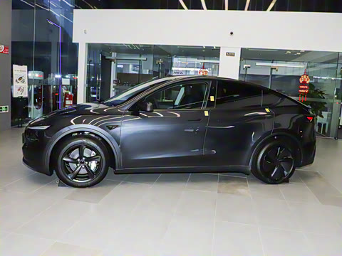 2025�� �������� �׷���