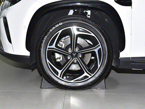 2024�� ���� 310 ����PRO��