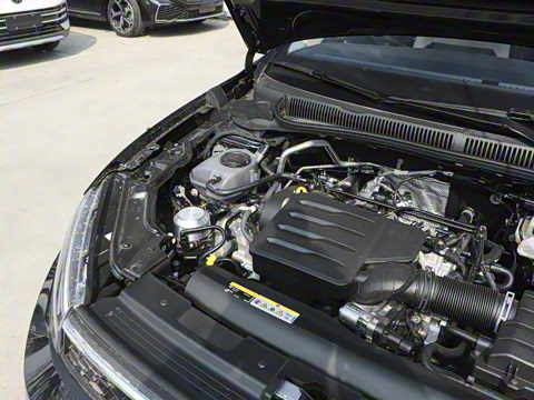 2025�� ���� 1.5L ���ݰ�