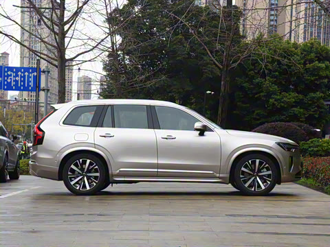 2025�� �Ŀ� T8 ��������� 7��