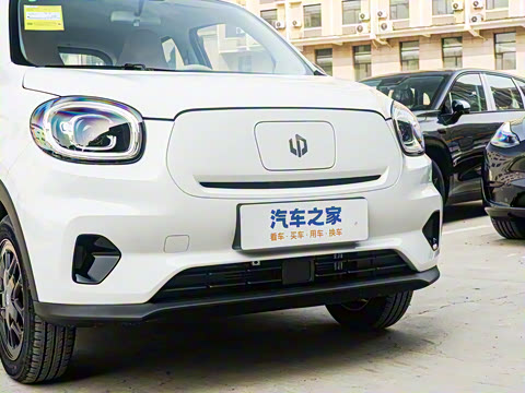 2025�� 310������