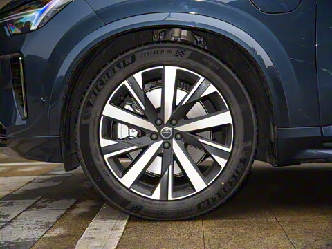 2025�� �Ŀ� T8 ��������� 7��