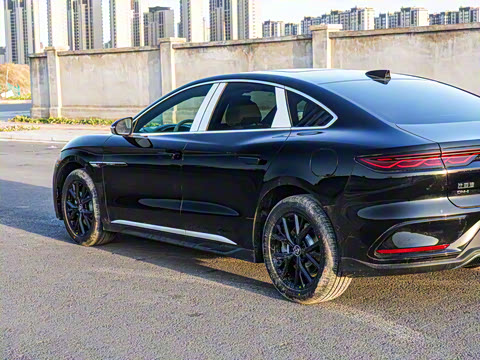 2025�� DM-i �Ǽݰ� 125KM��Ӣ��