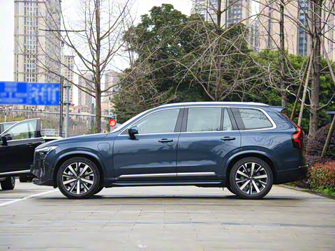 2025�� �Ŀ� T8 ��������� 7��