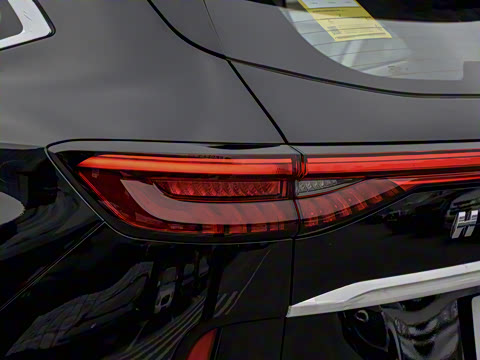 2024�� ������ 2.0T �Զ�����Max