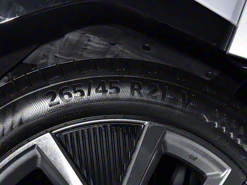 2025�� ����������Pro