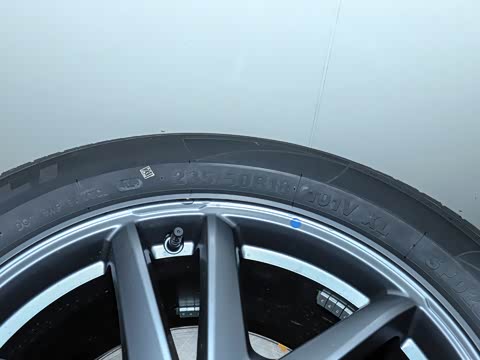 2024�� 555������