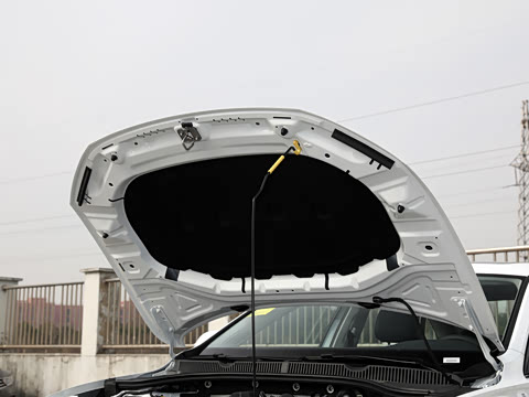 2025�� 300TSI DSG��Խ��