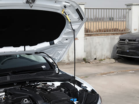 2025�� 300TSI DSG��Խ��