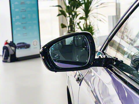 2025�� 730 Max������