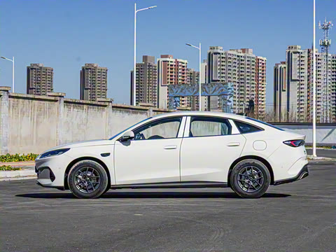 2025�� DM-i �Ǽݰ� 80KM������