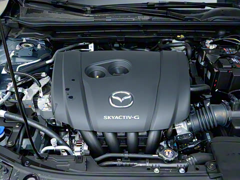 2025�� 2.0L �Զ������