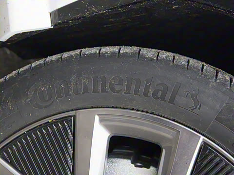 2025�� ����������Max