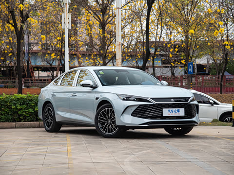 2025�� DM-i �Ǽݰ� 120KM׿Խ��