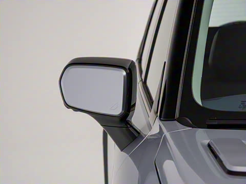 2024�� ����������