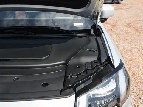 2025�� ���������� 650 ������