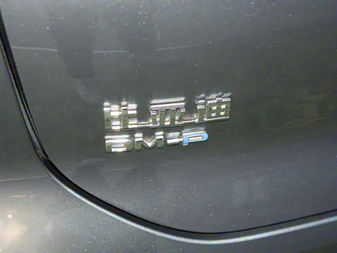 2025�� DM 175KM���˻���Ұ�