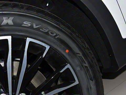 2025�� �ھ��� 1.5T �ֶ��ھ� 5��